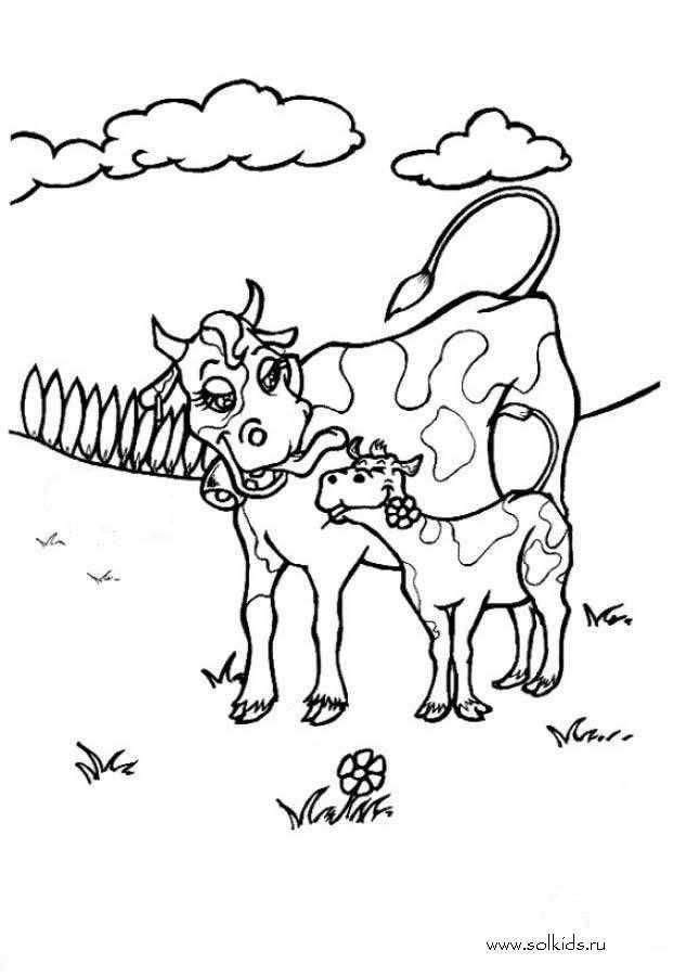 Название: Раскраска Рисунок  коровы и бычка. Категория: домашние животные. Теги: корова, бычок.
