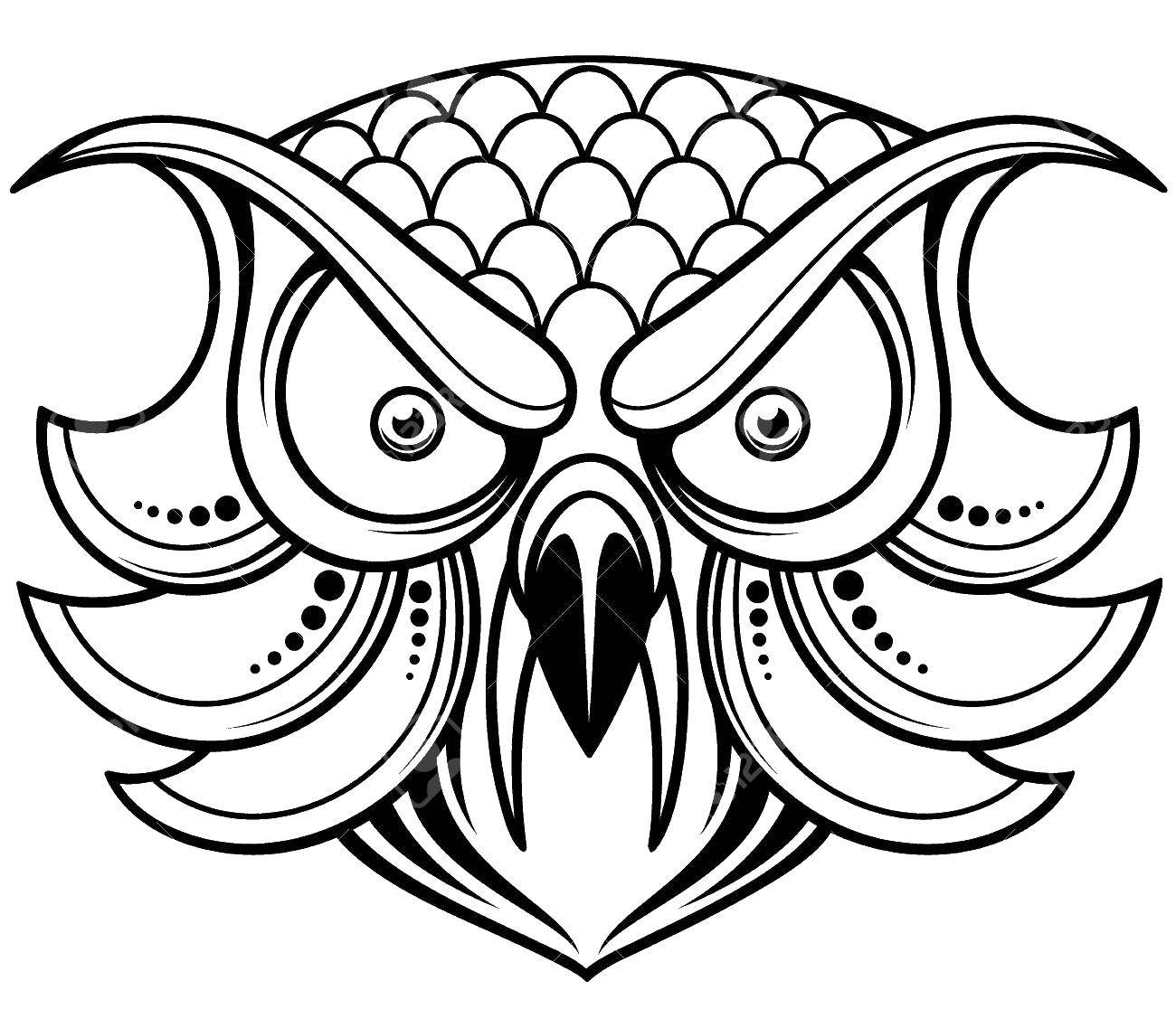 Coloring Angry owl. Category birds. Tags:  Birds, owl.