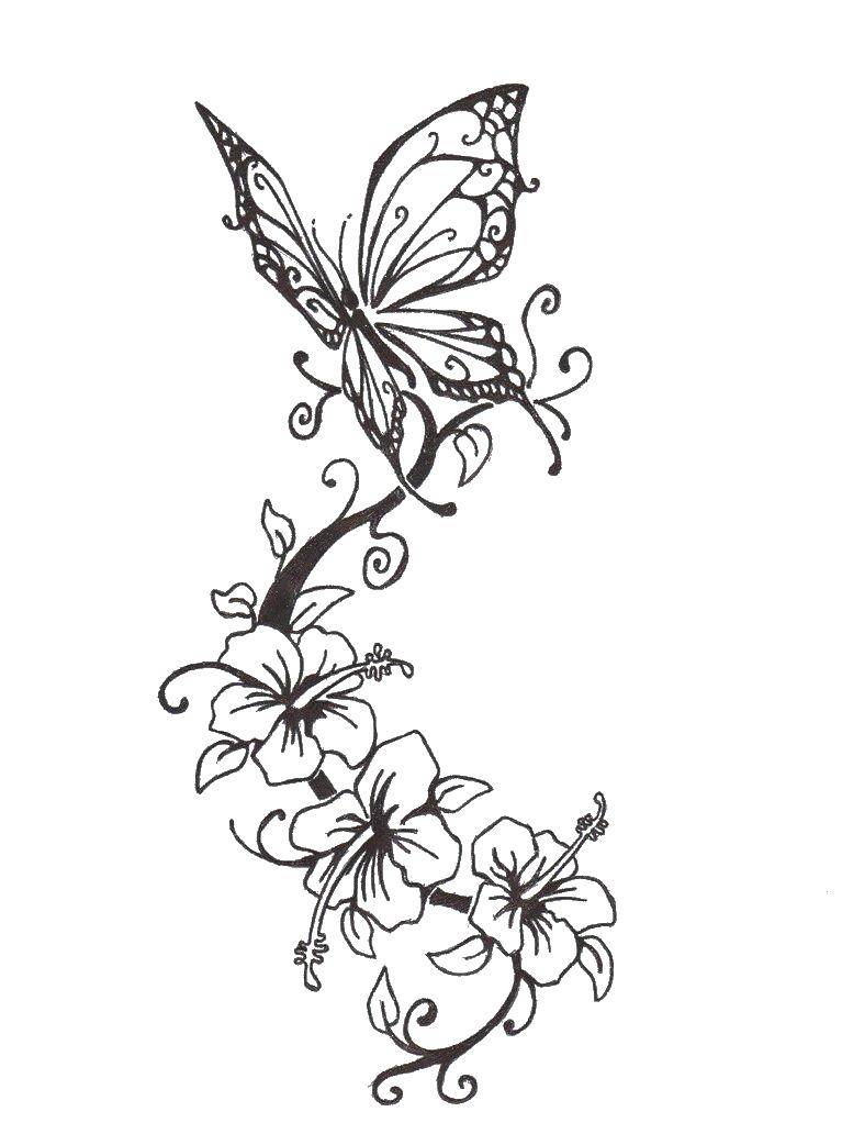 Название: Раскраска Бабочка на цветках. Категория: бабочки. Теги: Бабочка.