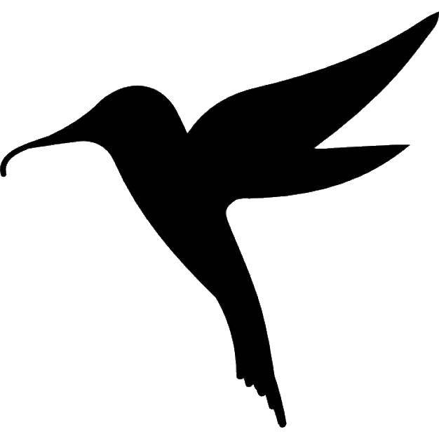 Название: Раскраска Контур колибри. Категория: Контуры для вырезания птиц. Теги: Контур.