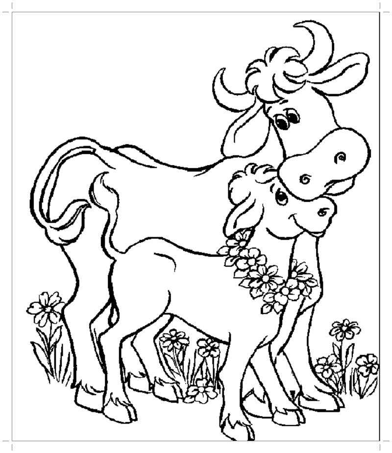 Coloring The picture of the cow and the bull. Category Pets allowed. Tags:  cow.