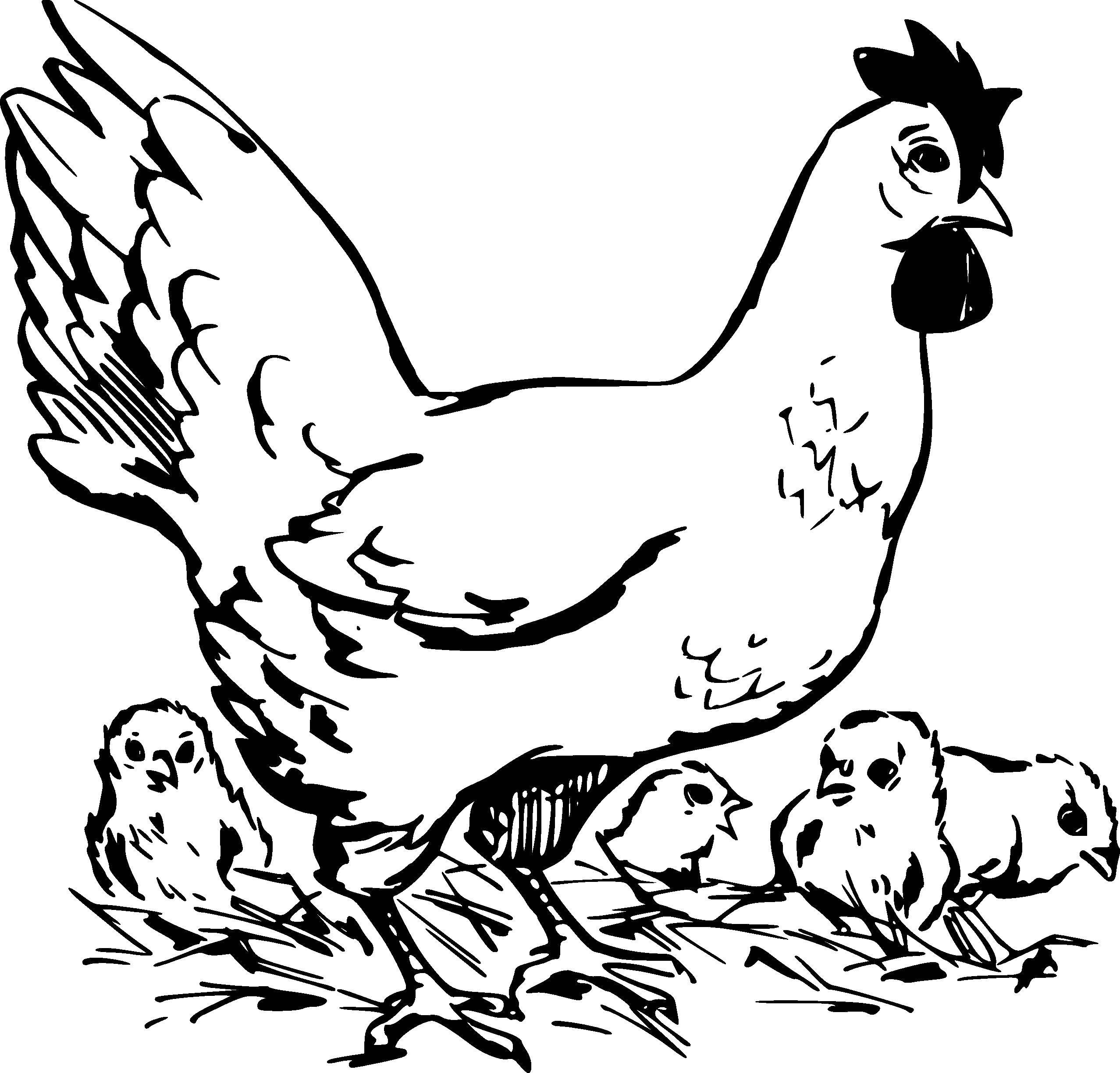 Название: Раскраска Курочка с детьми. Категория: птицы. Теги: Птицы, курица.