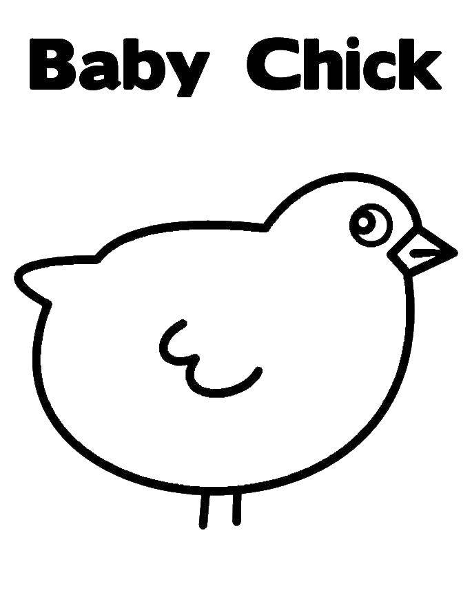 Coloring Baby chick. Category birds. Tags:  Birds, chickens.