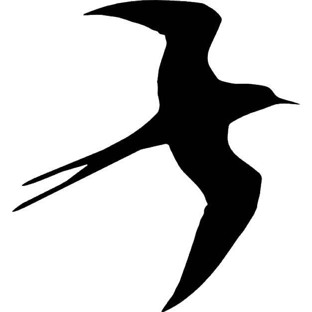 Coloring Black outline of a swallow. Category The contours for cutting out the birds. Tags:  swallows, birds.