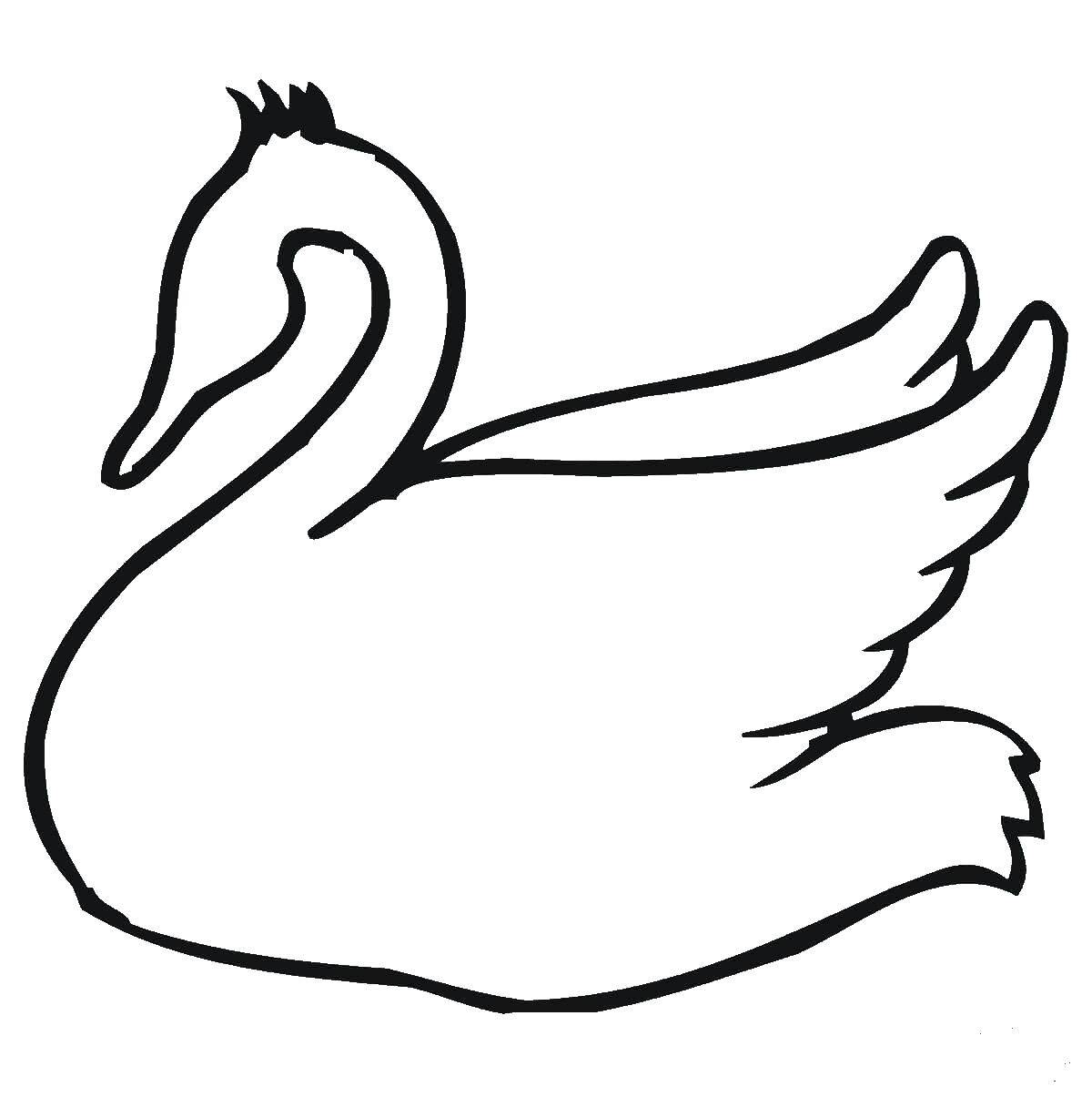 Название: Раскраска Контур лебедя. Категория: раскраски. Теги: Контур.