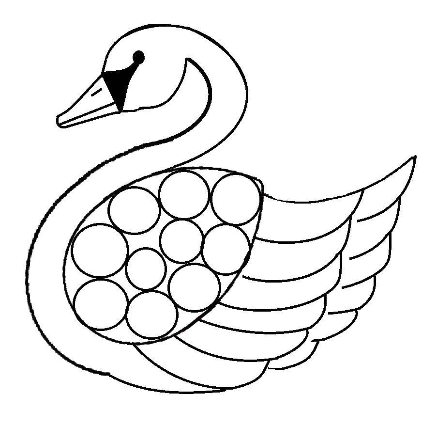 Coloring Swan.. Category birds. Tags:  Birds.