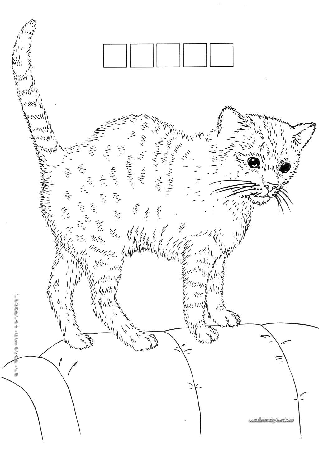 Coloring Home kitty. Category Animals. Tags:  Animals, kitten.