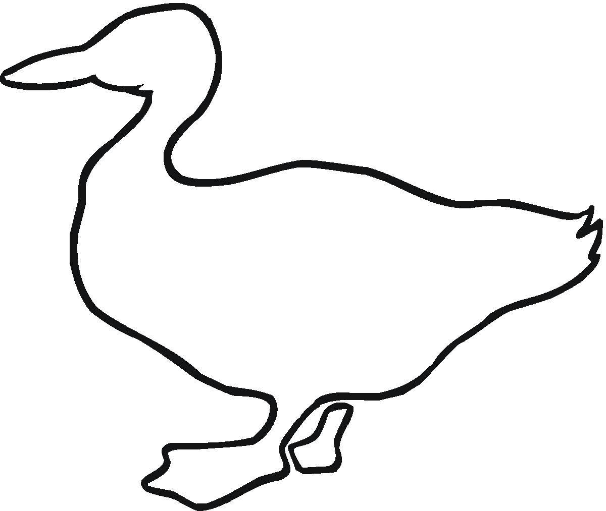 Coloring Contour ducks. Category birds. Tags:  Poultry, duck.