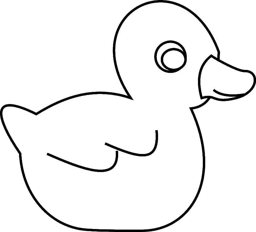 Название: Раскраска Резиновая утка. Категория: птицы. Теги: Птицы, уточка.