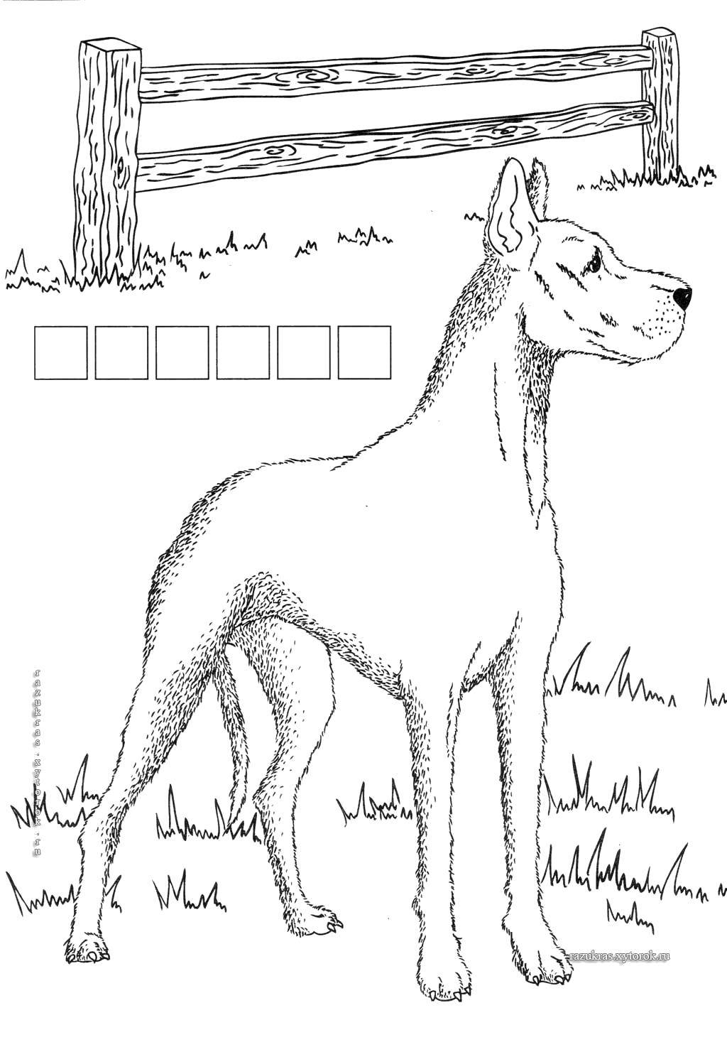 Coloring Dog.. Category Animals. Tags:  Animals, dog.