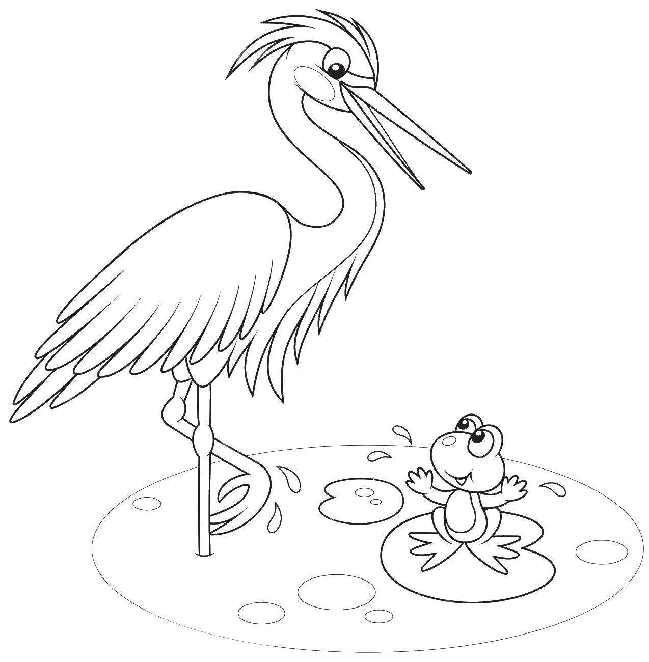 Coloring The Heron and the frog.. Category birds. Tags:  Birds, Heron.