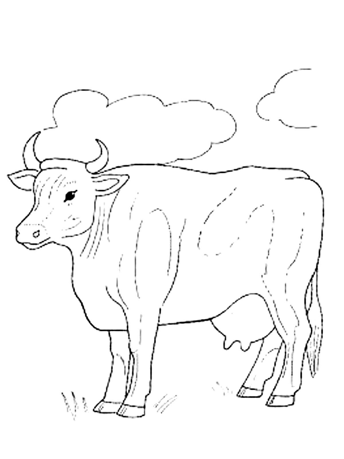 Розмальовки  Корова на лузі. Завантажити розмальовку Тварини, корова.  Роздрукувати ,домашні тварини,
