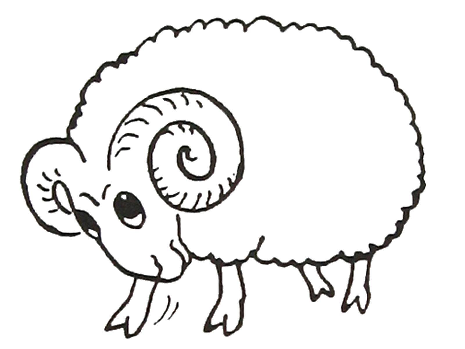 Coloring Sheep with large horns. Category Pets allowed. Tags:  Animals, lamb.
