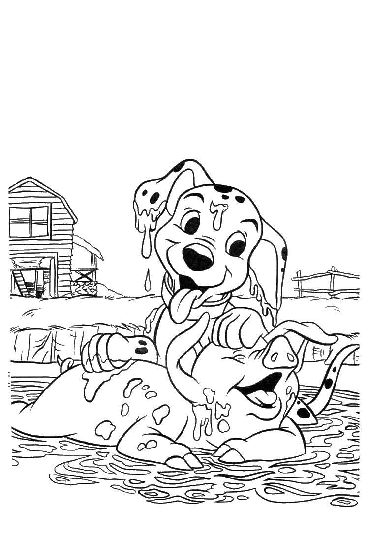 Название: Раскраска Далматинец играет со свикной. Категория: домашние животные. Теги: 101 далматинец, Дисней, мультфильм.