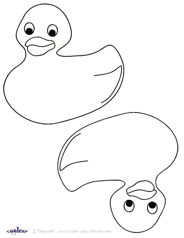 Coloring Two duckling. Category The contours for cutting out the birds. Tags:  Two duck.