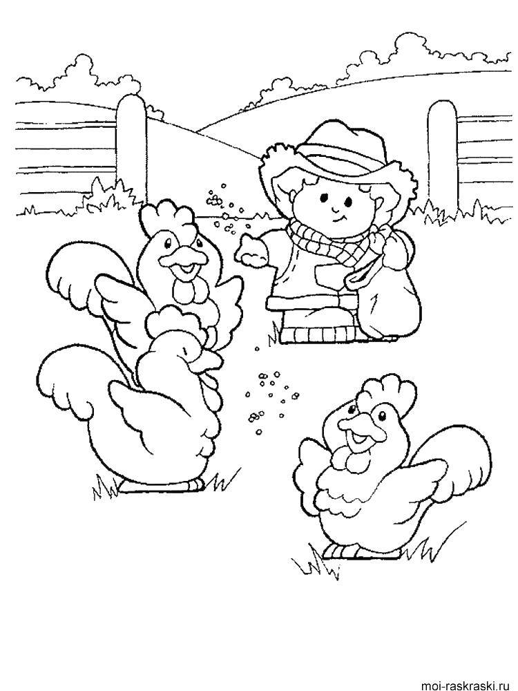 Название: Раскраска Фермер кормит куриц. Категория: домашние животные. Теги: Фермер, курицы.