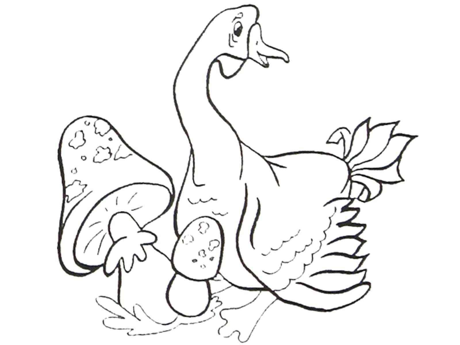 Coloring Goose the mushrooms. Category Pets allowed. Tags:  Birds.