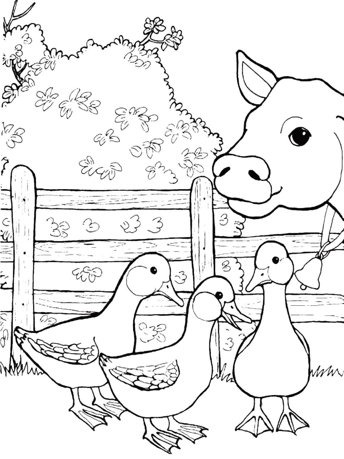 Coloring Gosatti and ladybug. Category Pets allowed. Tags:  Animals, cow.