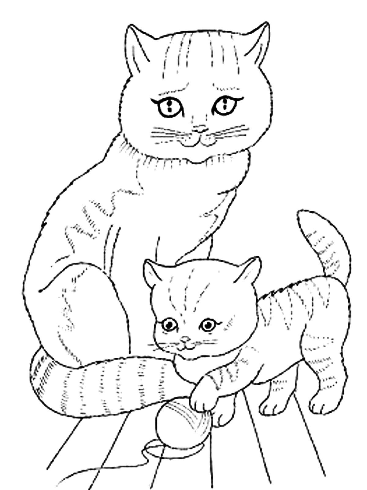 Название: Раскраска Котёнок играет возле мамы. Категория: домашние животные. Теги: Животные, котёнок.