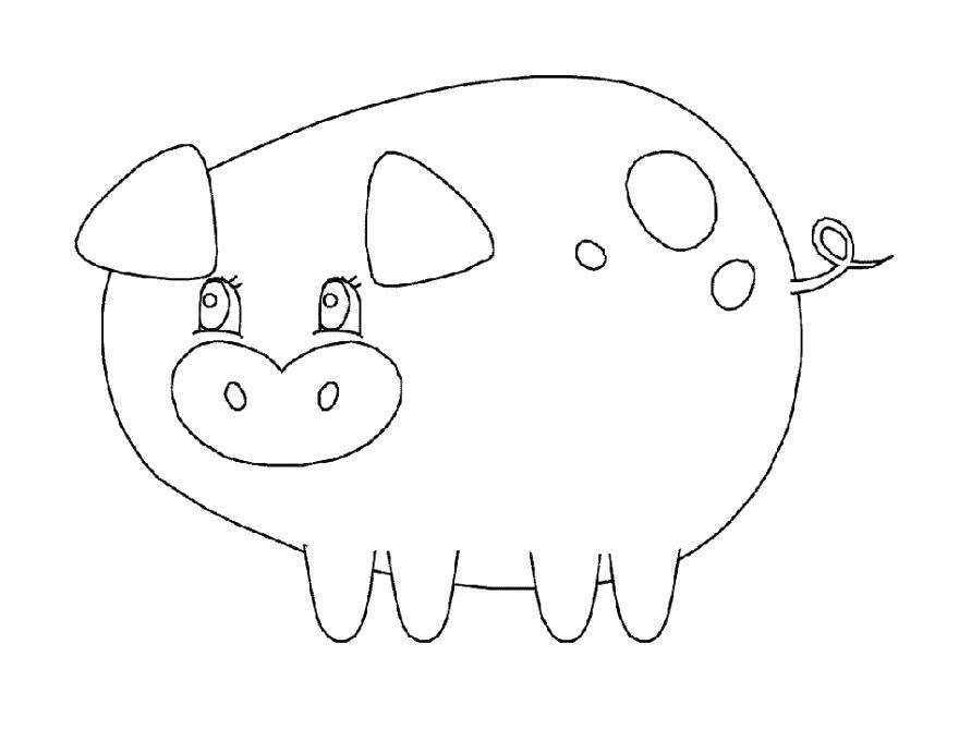 Название: Раскраска Круглая свинка. Категория: домашние животные. Теги: Животные, свинка.