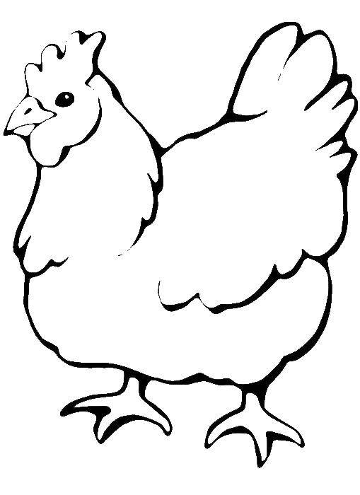 Название: Раскраска Курица контур. Категория: домашние животные. Теги: Курица, цыплята.