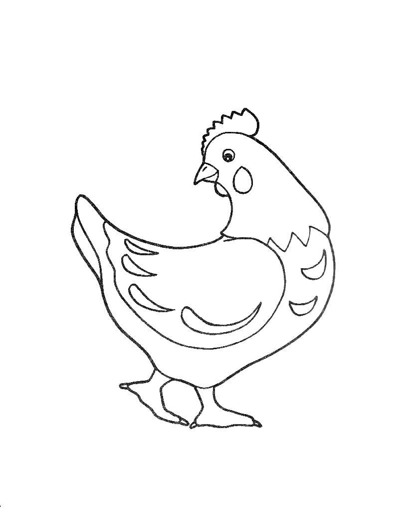 Название: Раскраска Курица смотрит назад. Категория: домашние животные. Теги: Курица, птица.