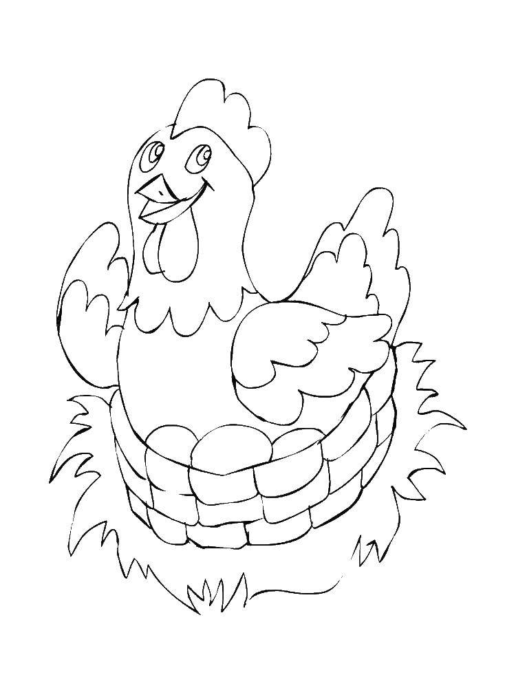 Название: Раскраска Курица снесла яйца. Категория: домашние животные. Теги: Курица, цыплята.