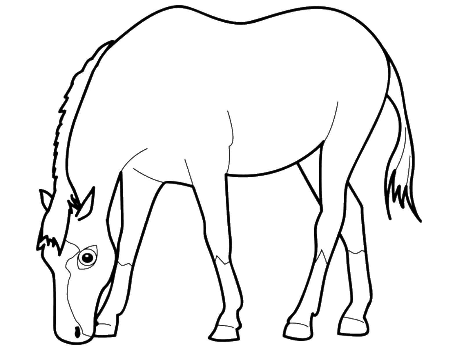 Название: Раскраска Лошадка кушает. Категория: домашние животные. Теги: Животные, лошадь.