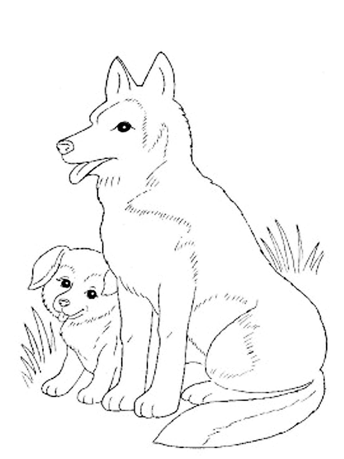 Название: Раскраска Мама собака с щеночком. Категория: домашние животные. Теги: Животные, собака.