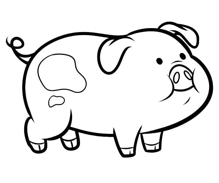 Название: Раскраска Пухлая хрюша. Категория: домашние животные. Теги: Животные, свинка.