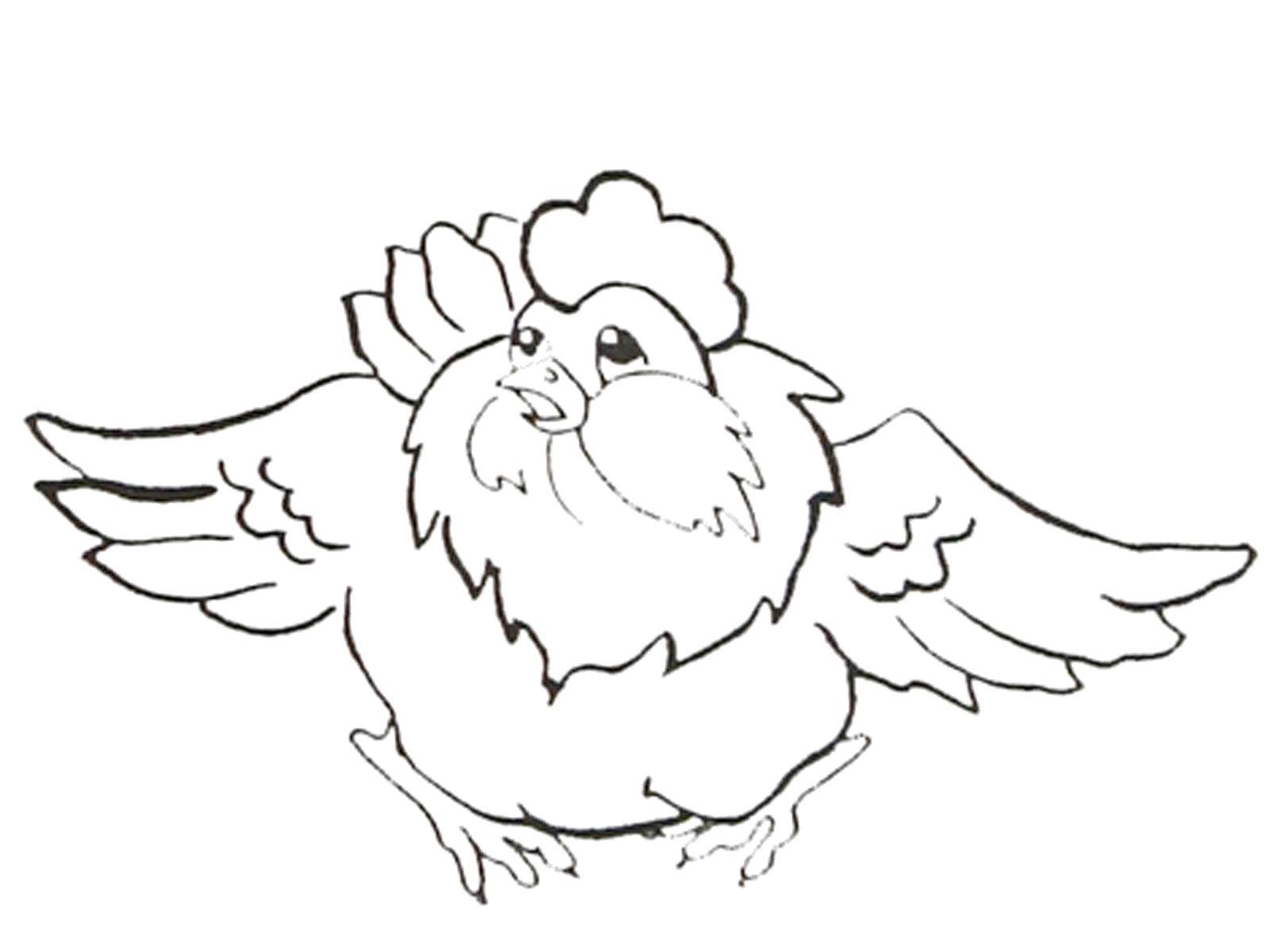 Coloring Chubby cock. Category Pets allowed. Tags:  Birds, cock.