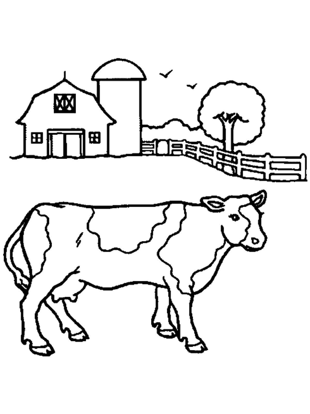 Название: Раскраска Пёстрая коровка. Категория: домашние животные. Теги: Животные, корова.
