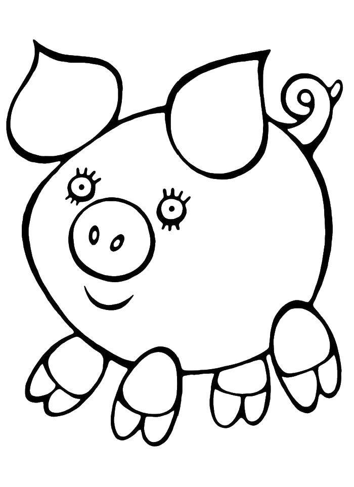 Coloring Funny piggy. Category Pets allowed. Tags:  Animals, pig.