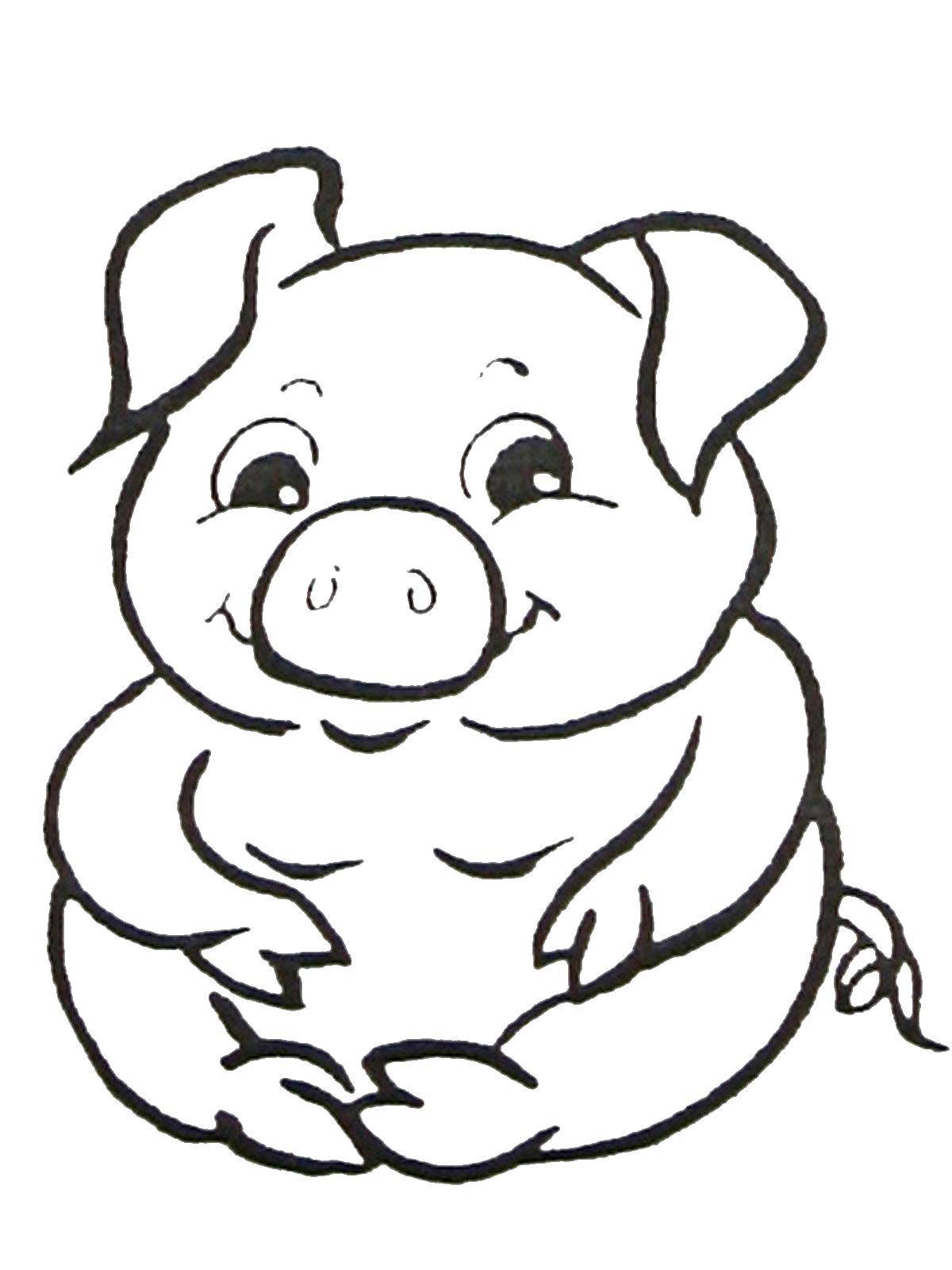 Coloring Fat pig. Category Pets allowed. Tags:  Animals, pig.