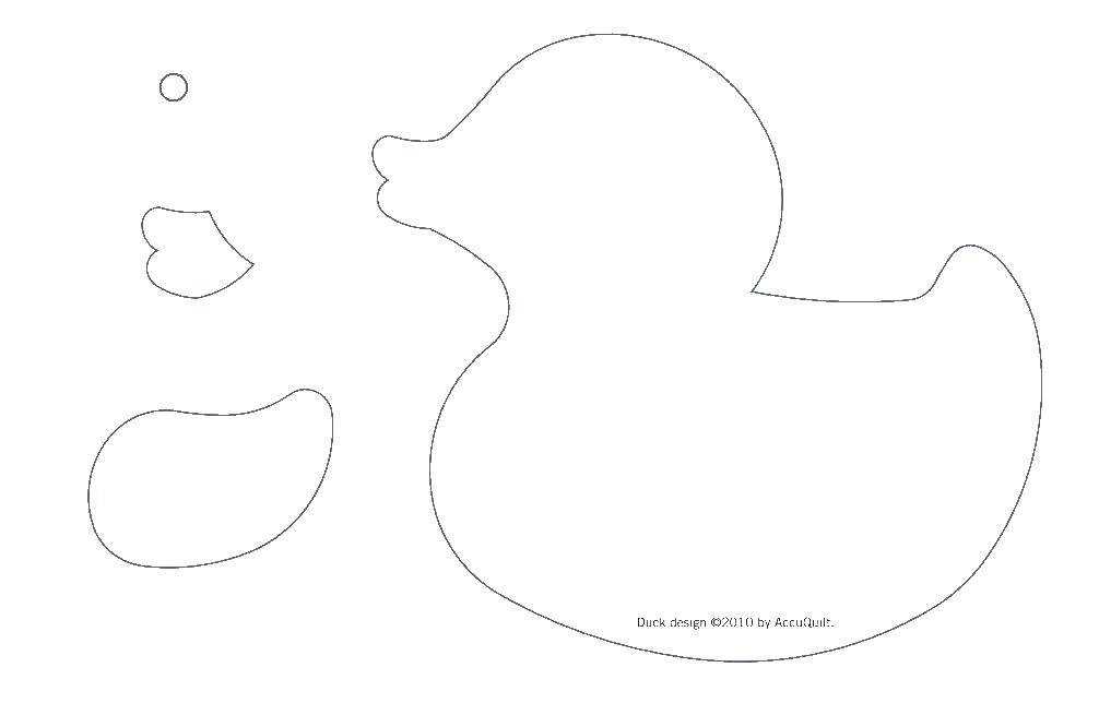 Coloring The duck and body parts. Category The contours for cutting out the birds. Tags:  The duck, body parts.