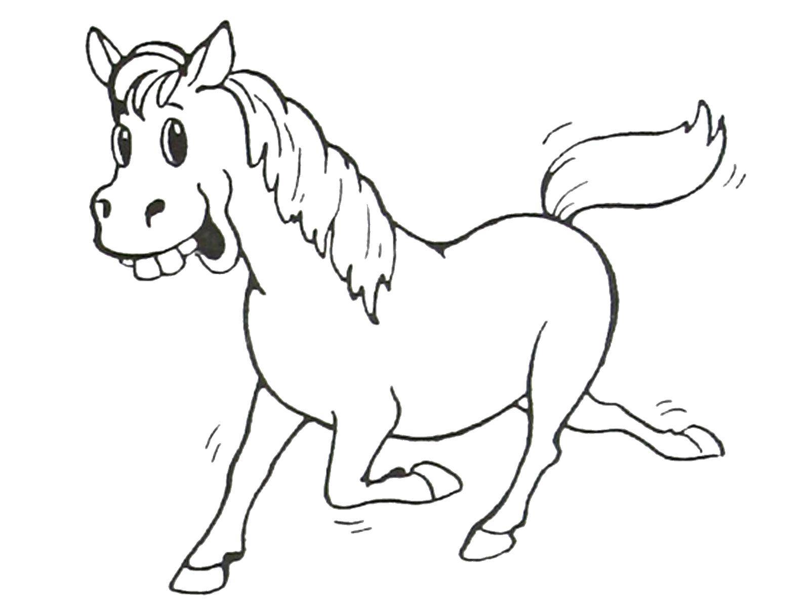 Название: Раскраска Весёлая лошадка. Категория: домашние животные. Теги: Животные, лошадь.