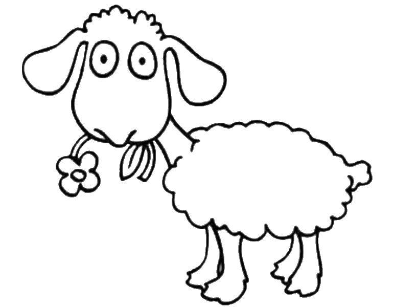 Coloring A scared lamb. Category Pets allowed. Tags:  Animals, lamb.