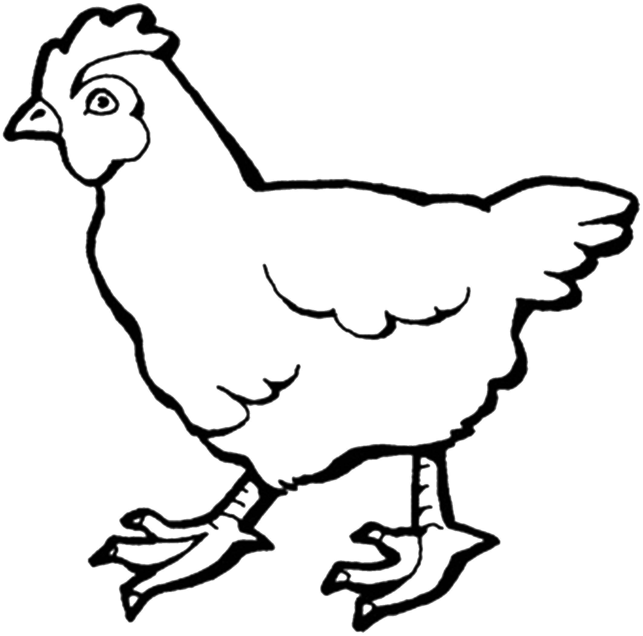 Название: Раскраска Курица ряба. Категория: домашние животные. Теги: Курица, птица.