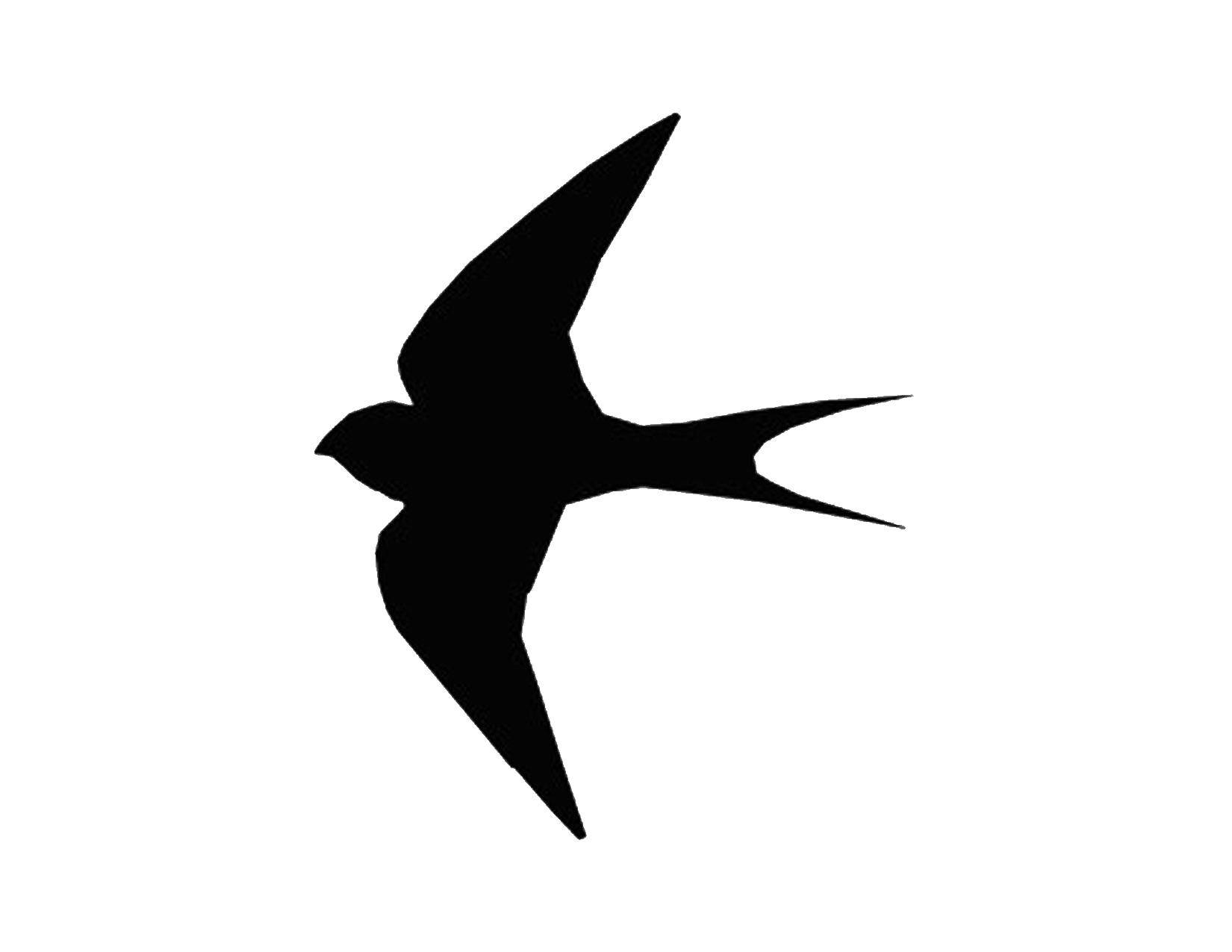 Название: Раскраска Ласточкин контур. Категория: Контуры для вырезания птиц. Теги: Птицы, ласточка.