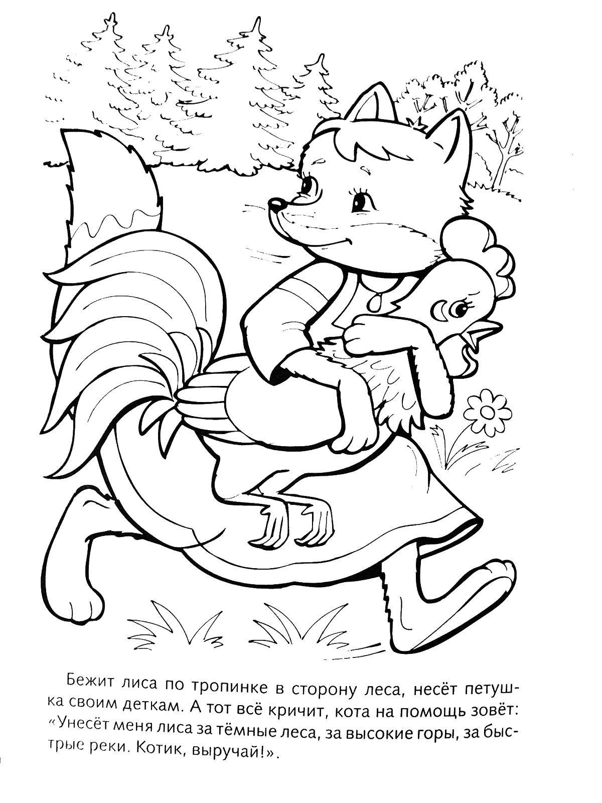 Coloring The Fox carries the cock for their kids. Category Fairy tales. Tags:  tales, cock, Fox.