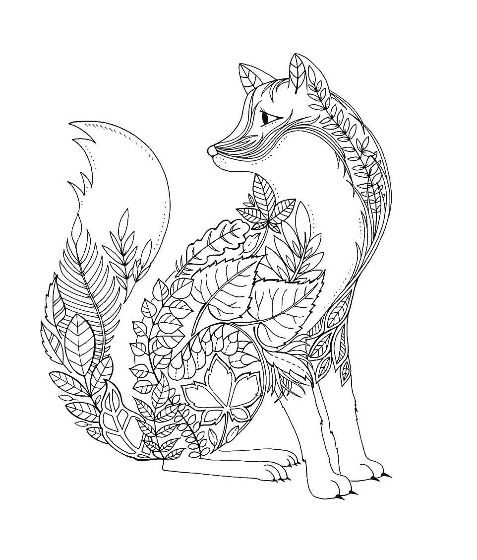 Coloring Fox patterns. Category patterns. Tags:  patterns, Fox.