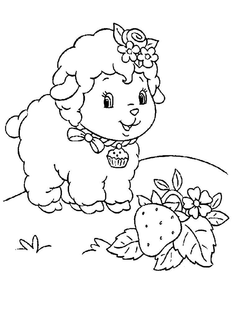 Название: Раскраска Милый ягненочек. Категория: домашние животные. Теги: Животные, овечка.
