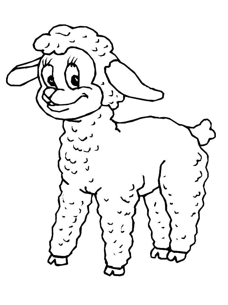 Название: Раскраска Счастливый ягненок. Категория: домашние животные. Теги: Животные, овечка.