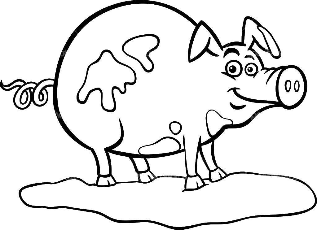 Название: Раскраска Свинка в грязи. Категория: домашние животные. Теги: Животные, свинка.