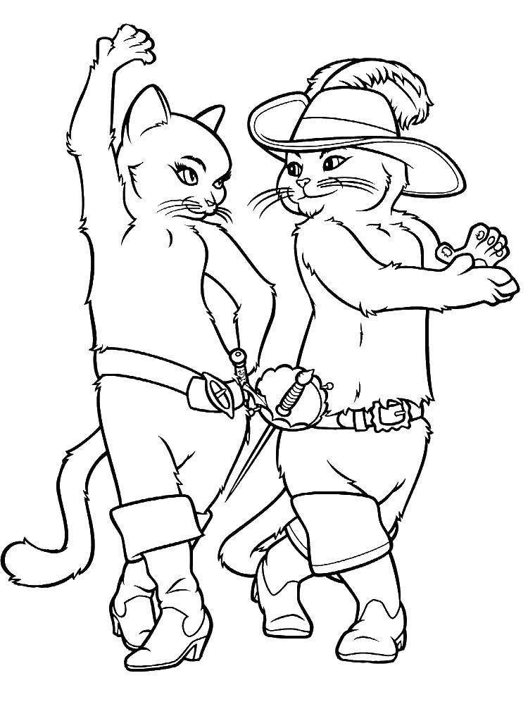 Coloring Puss in boots with a friend. Category Pets allowed. Tags:  Animals, kitten.