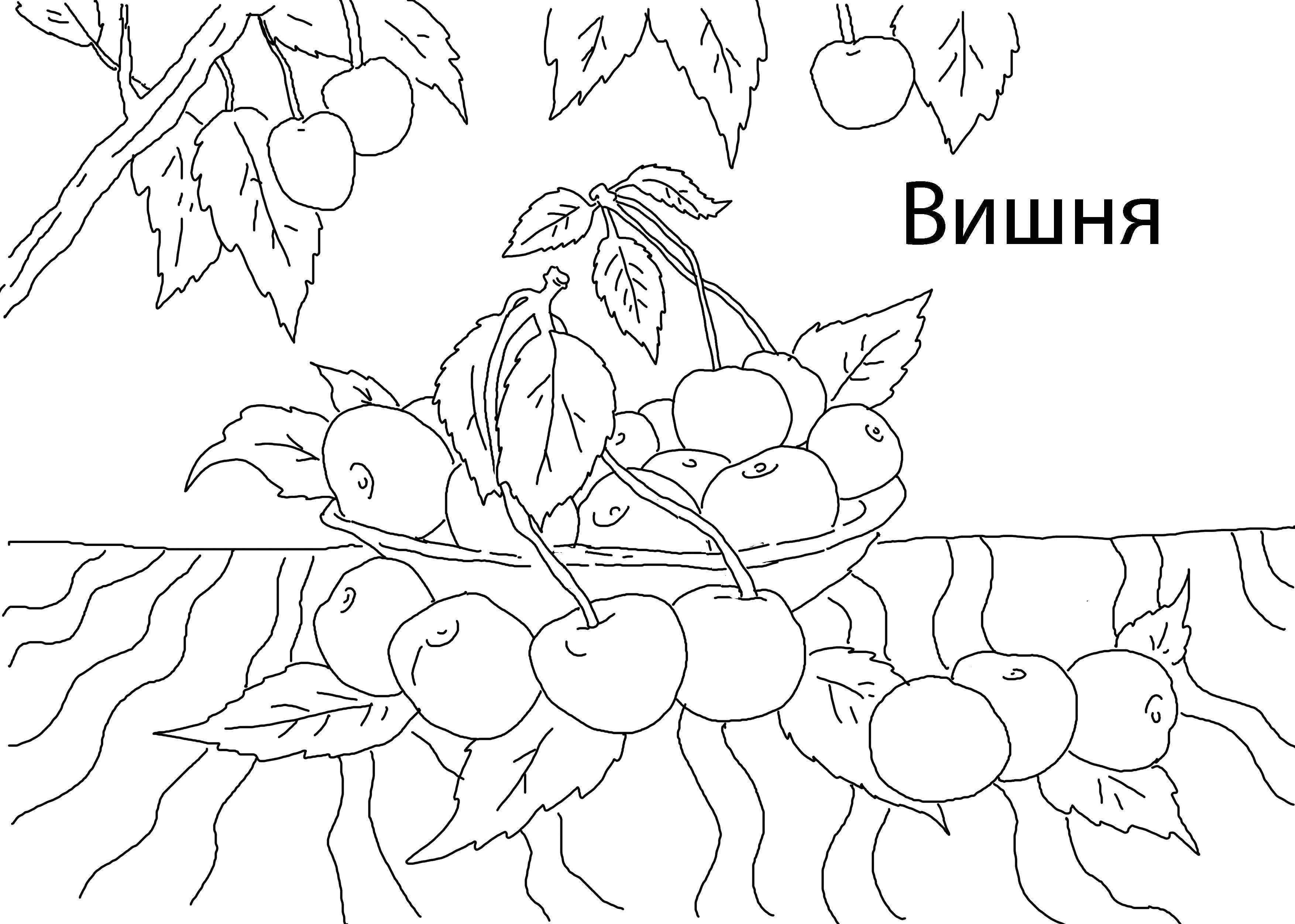 Coloring Delicious cherry. Category berries. Tags:  Berries, cherry.
