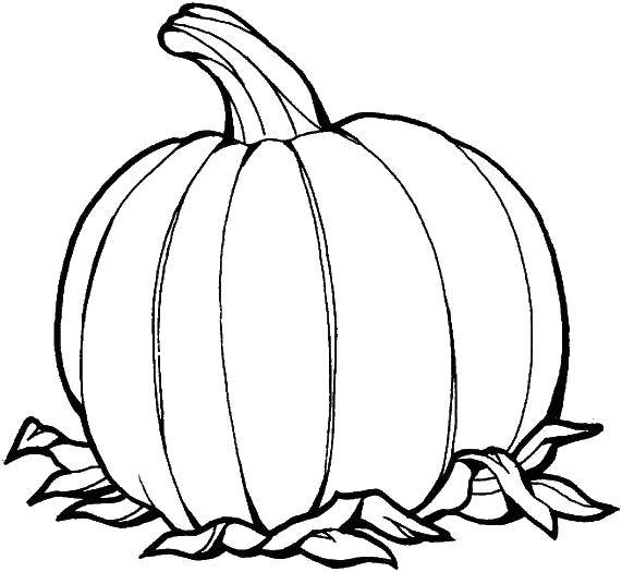Coloring Autumn pumpkin. Category vegetables. Tags:  Vegetables.