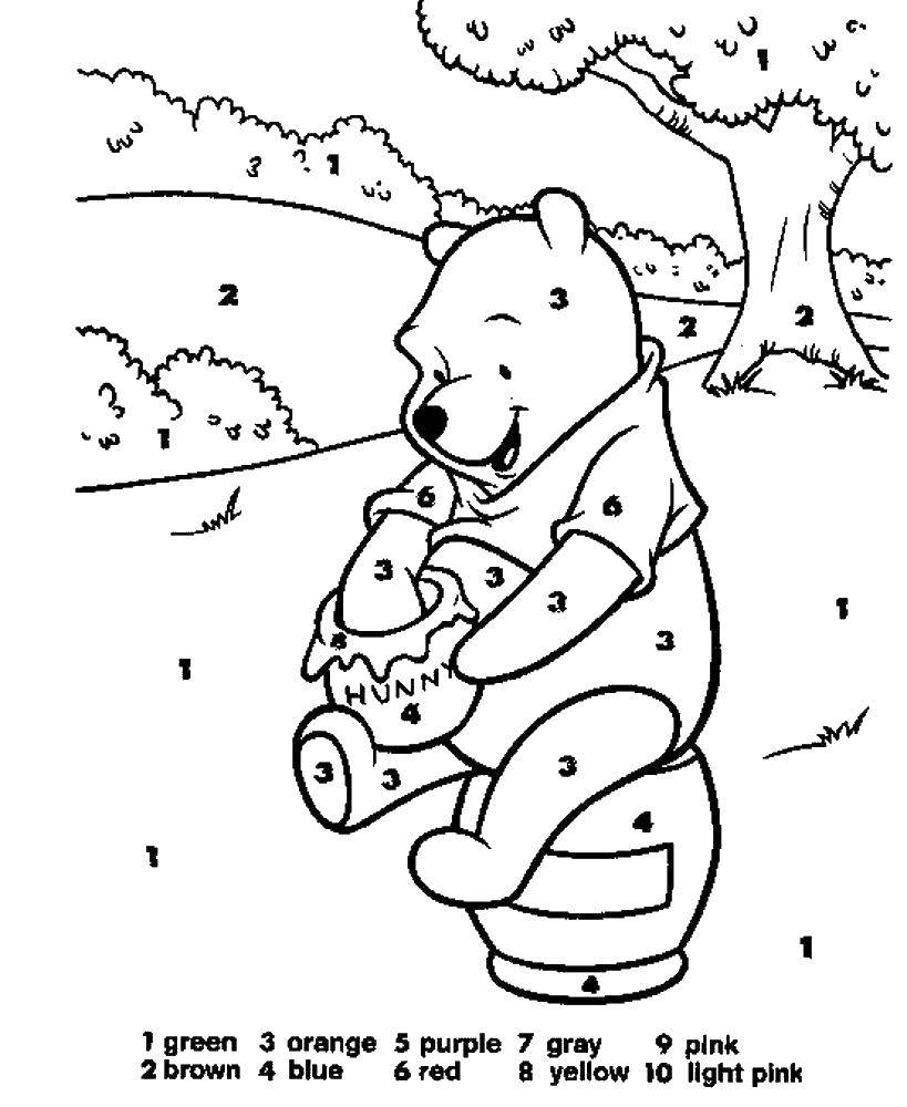 Coloring Winnie the Pooh with honey. Category coloring by numbers. Tags:  bear , animals, Winnie the Pooh.