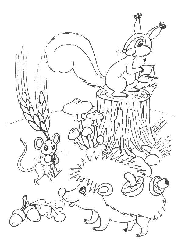 Название: Раскраска Белочка, ежик и мышка. Категория: осень. Теги: осень, животные, грибы.