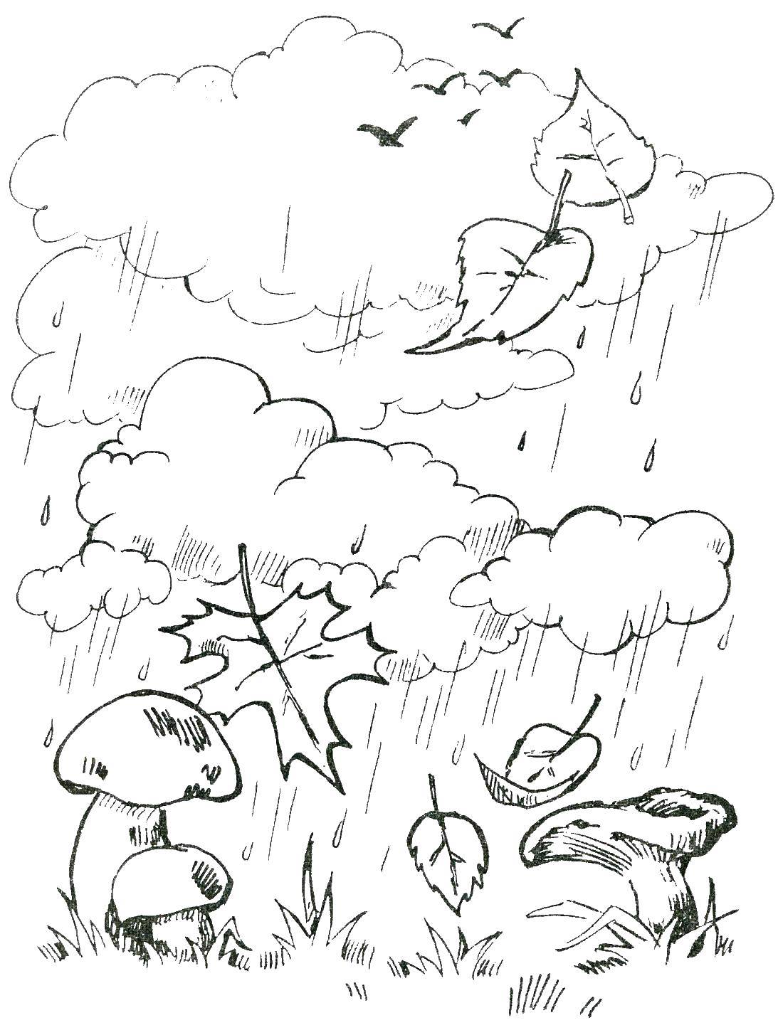 Coloring Rain. Category autumn. Tags:  rain, autumn , mushrooms.